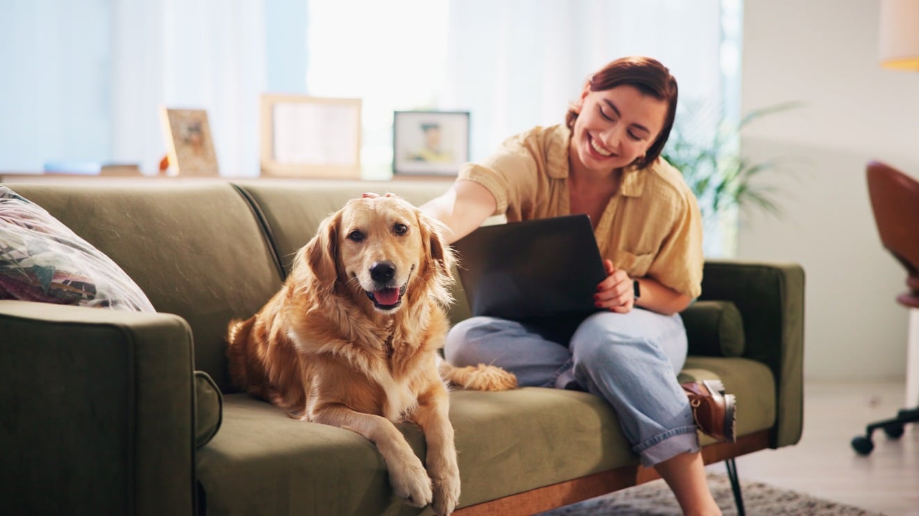 Credit ipotecar cu venituri din chirii: tot ce trebuie să știi