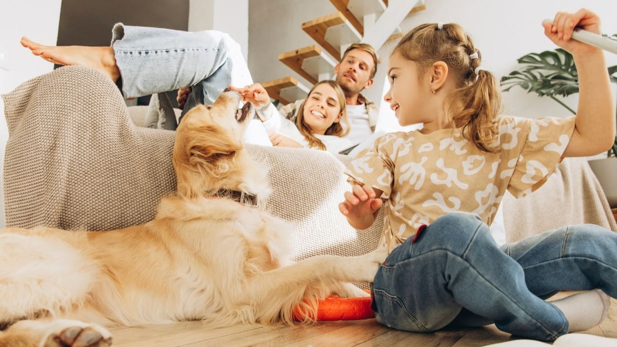 Ce credite ipotecare noi au accesat românii în ultima parte a anului 2025?